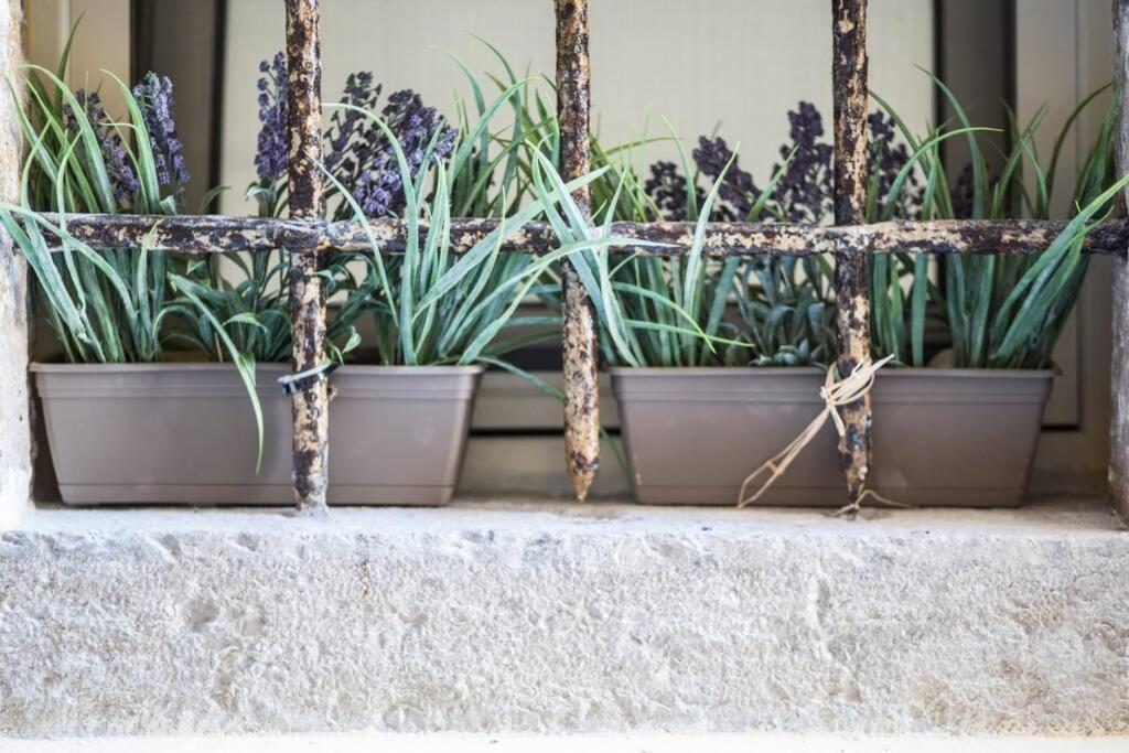 Apartmán Paravento Lux Studio Corfu  Exteriér fotografie